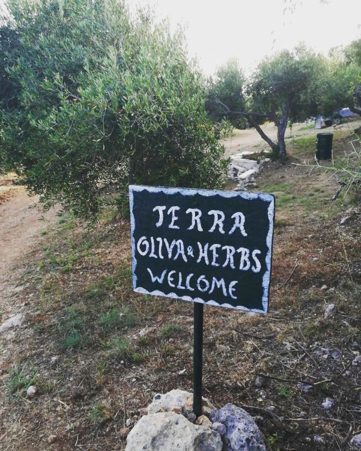 Terraoliva&Herbs Vatos Экстерьер фото